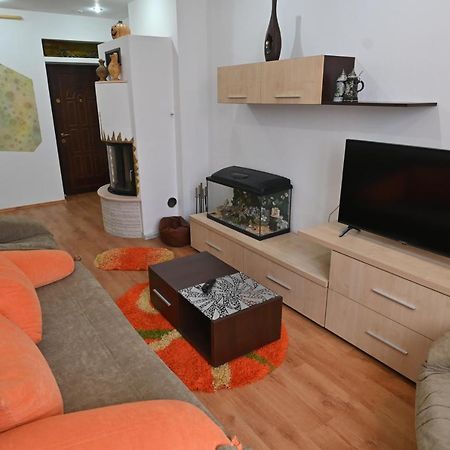 Apartament Camelia Petroşani Extérieur photo