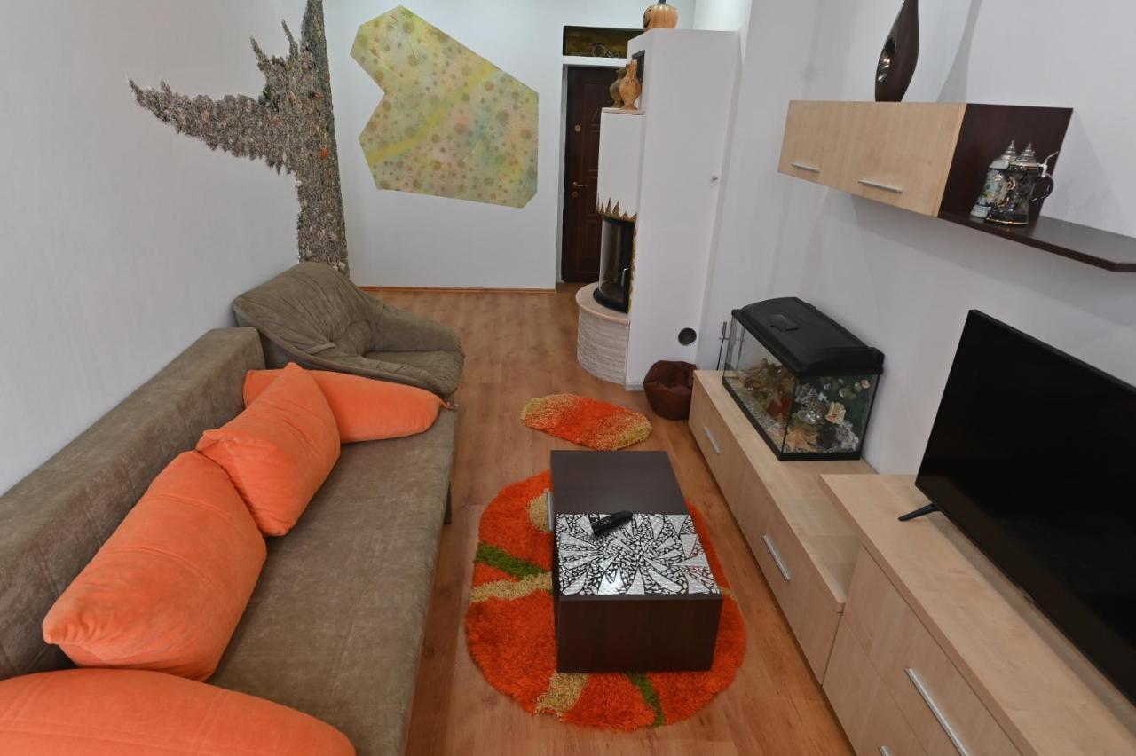 Apartament Camelia Petroşani Extérieur photo