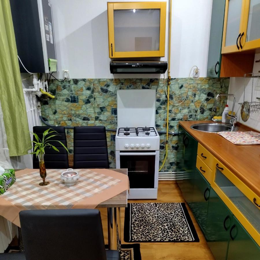 Apartament Camelia Petroşani Extérieur photo