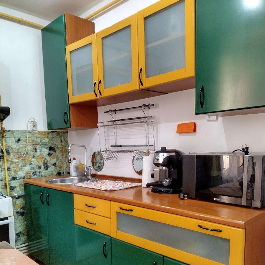 Apartament Camelia Petroşani Extérieur photo