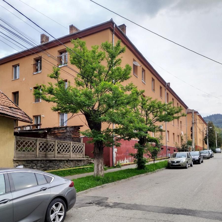 Apartament Camelia Petroşani Extérieur photo