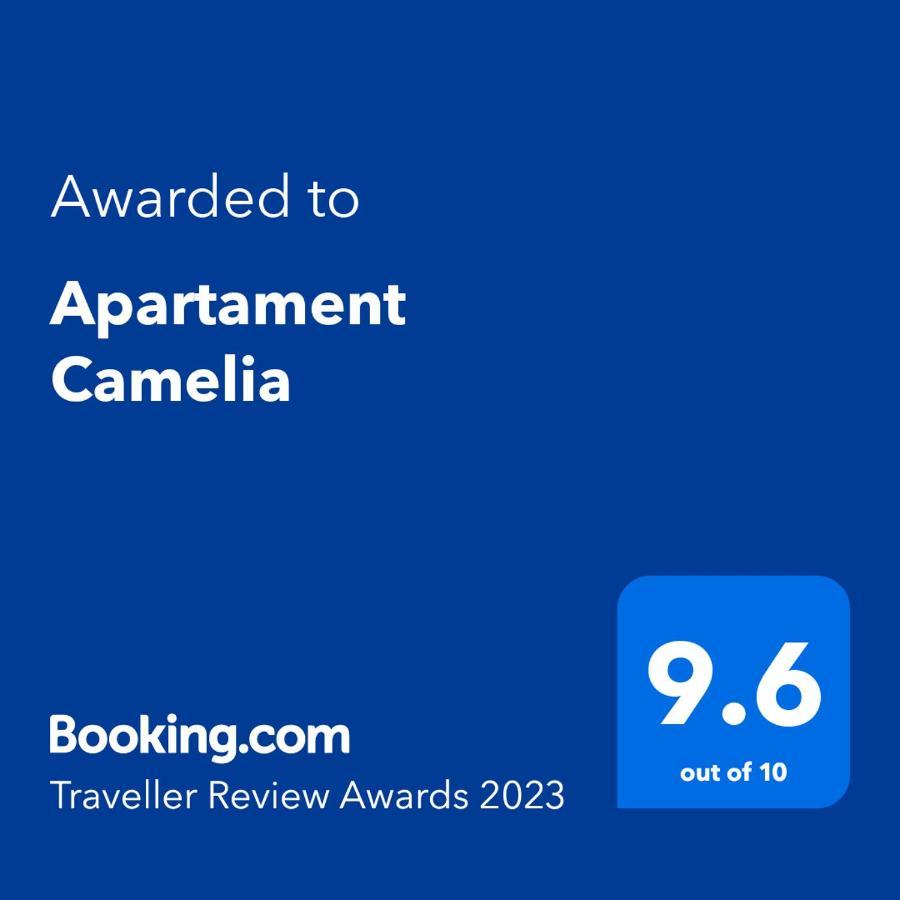 Apartament Camelia Petroşani Extérieur photo